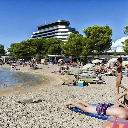 Ani Vodice