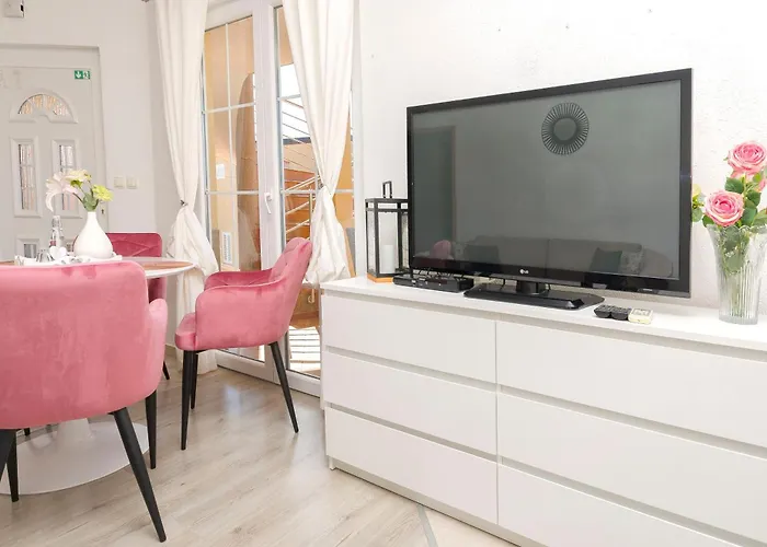 Ani ヴォディツェ