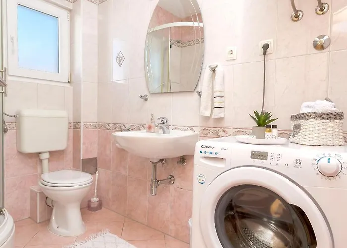 Ani * ヴォディツェ