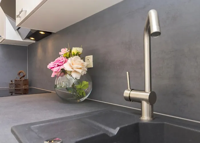 Ani ヴォディツェ