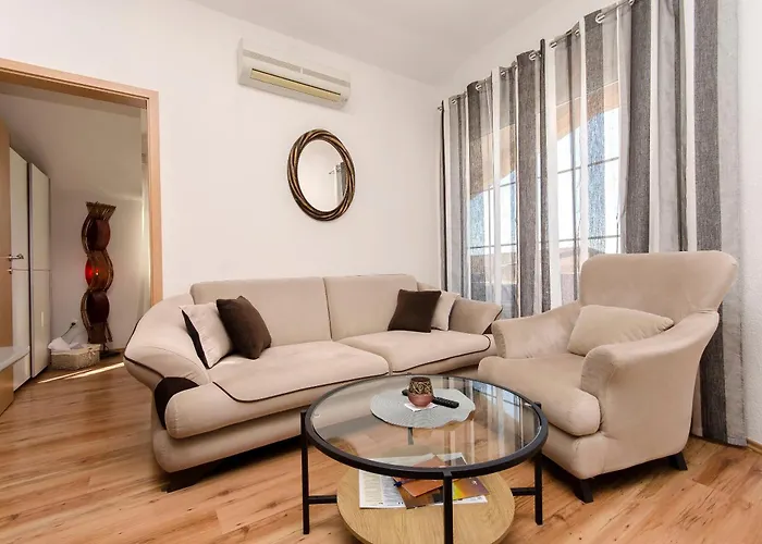 Ani ヴォディツェ